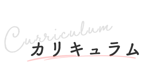 カリキュラム